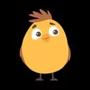 Bubo